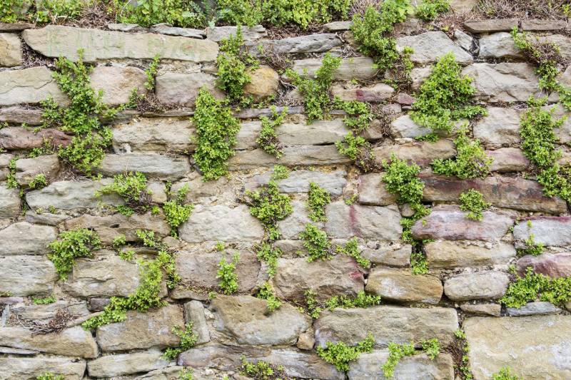Expertise sur un mur de soutènement suite à l'achat d'un terrain à Saint-Raphael (83) près de Fréjus
