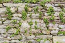 Nos prestations sur le secteur de à Nice (06) dans les Alpes-Maritimes